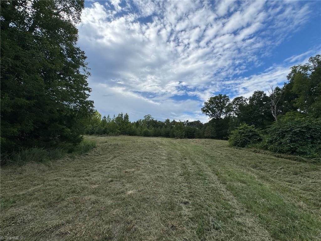 0 Massey Creek Road Property Photo 10