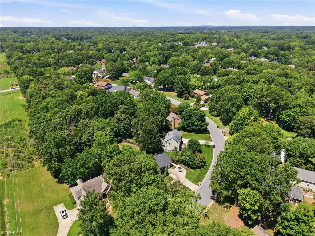 2019 La Dora Drive Property Photo 42