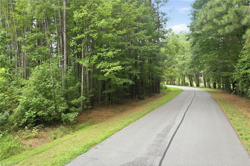 0 Oak Tree Drive Property Photo 3