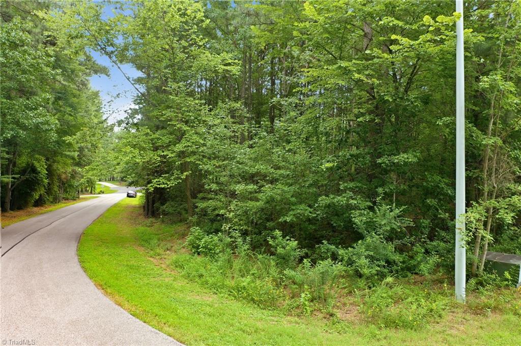 0 Oak Tree Drive Property Photo 4