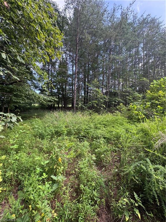 0 Johnson Road Property Photo 2