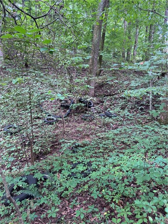 0 Johnson Road Property Photo 5