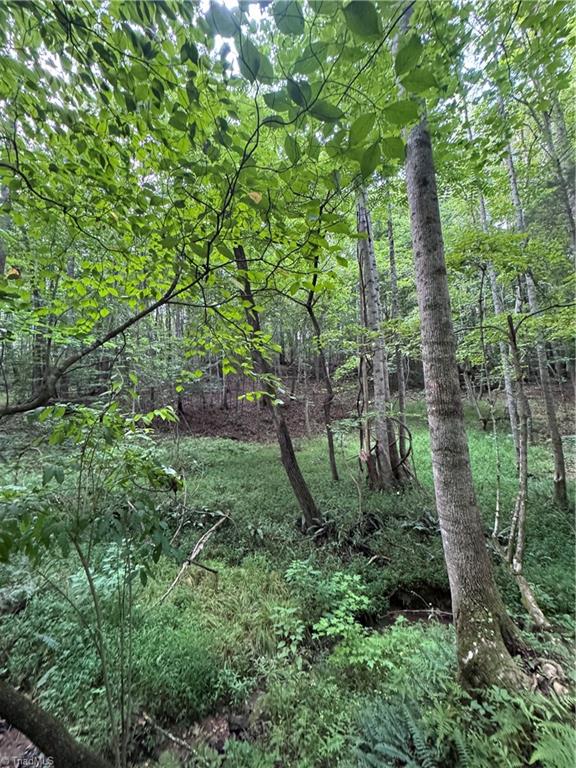 0 Johnson Road Property Photo 13