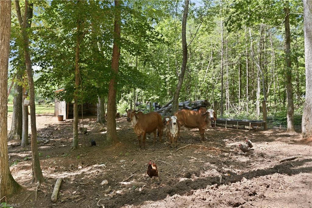 6407 Vedic Drive Property Photo 38