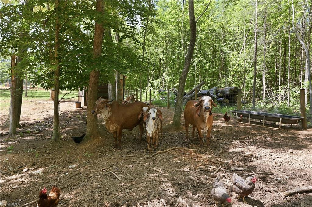 6407 Vedic Drive Property Photo 39