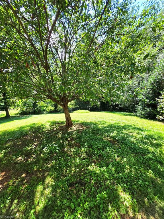 406 Laurel Mountain Road Property Photo 31