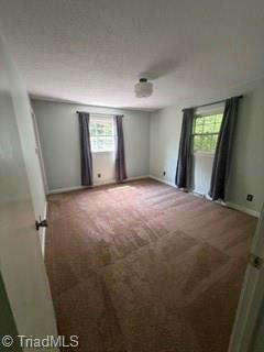 3836 Dal Road Property Photo 10