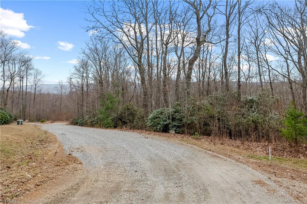 Tbd W Pheasant Chase Property Photo 2
