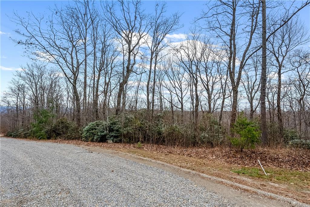 Tbd W Pheasant Chase Property Photo 3