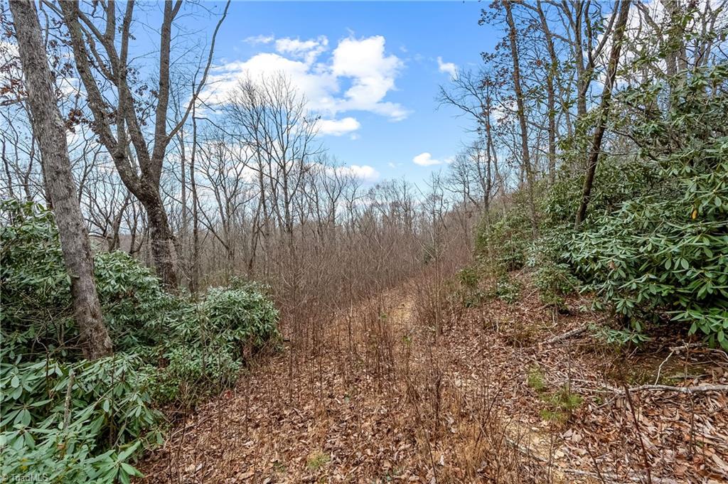 Tbd W Pheasant Chase Property Photo 5