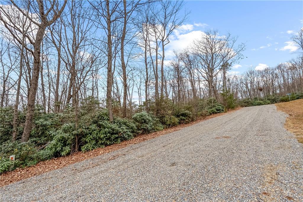 Tbd W Pheasant Chase Property Photo 6