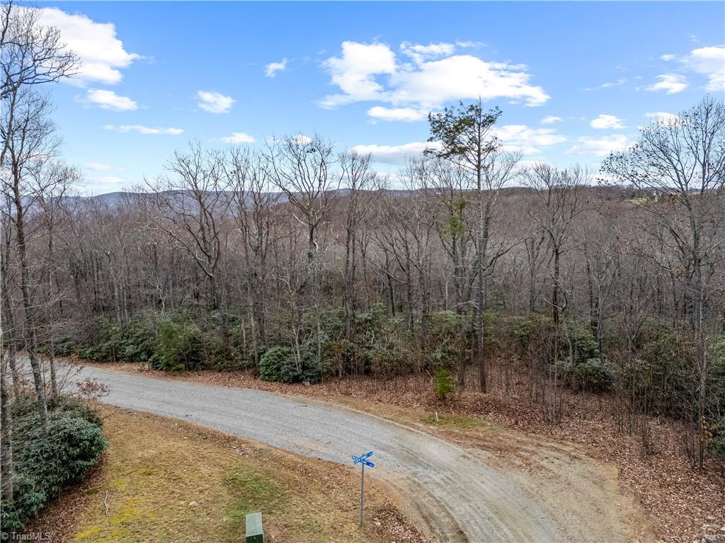 Tbd W Pheasant Chase Property Photo 7