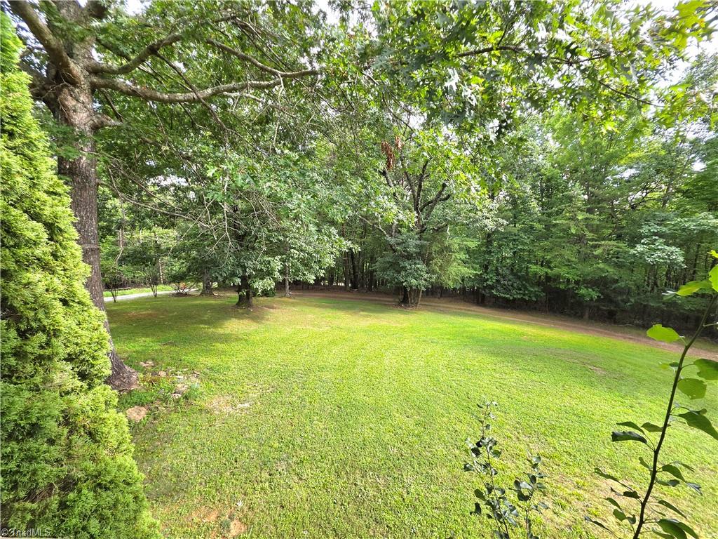 179 Caseys Crossing Trail Property Photo 5