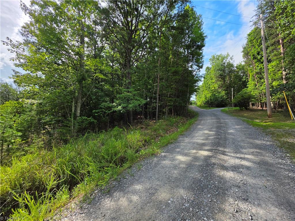 179 Caseys Crossing Trail Property Photo 9