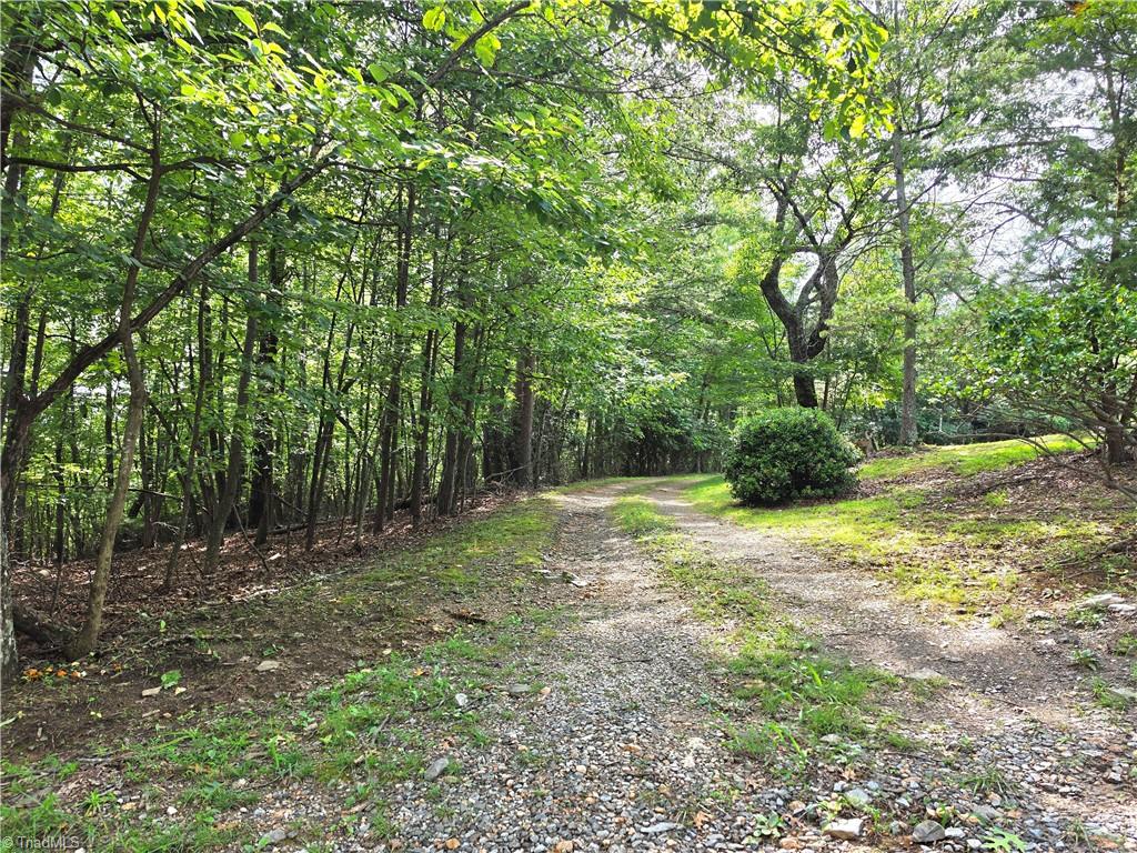 179 Caseys Crossing Trail Property Photo 10