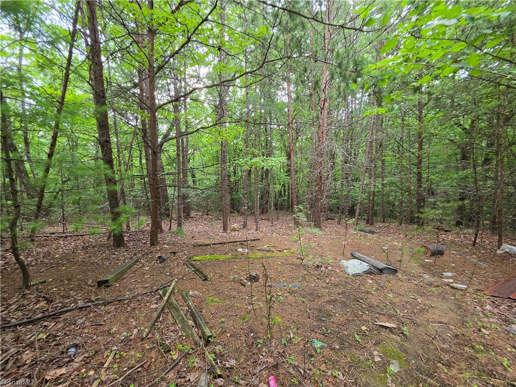 179 Caseys Crossing Trail Property Photo 14