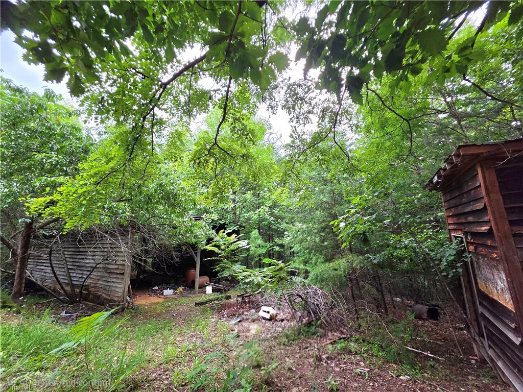 179 Caseys Crossing Trail Property Photo 32