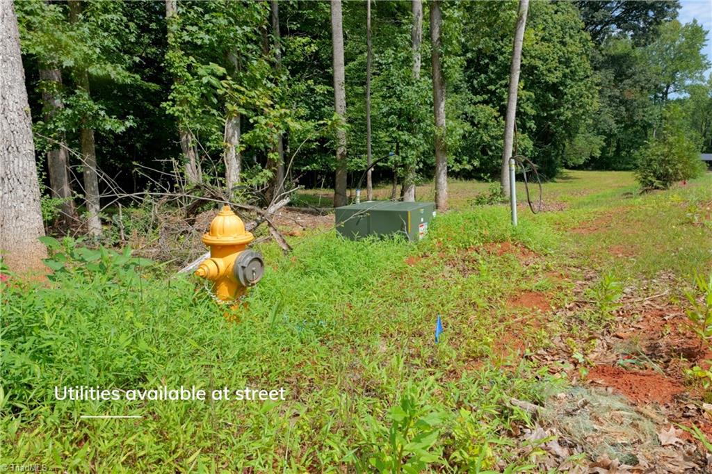 0 Labrador Lane Property Photo 16