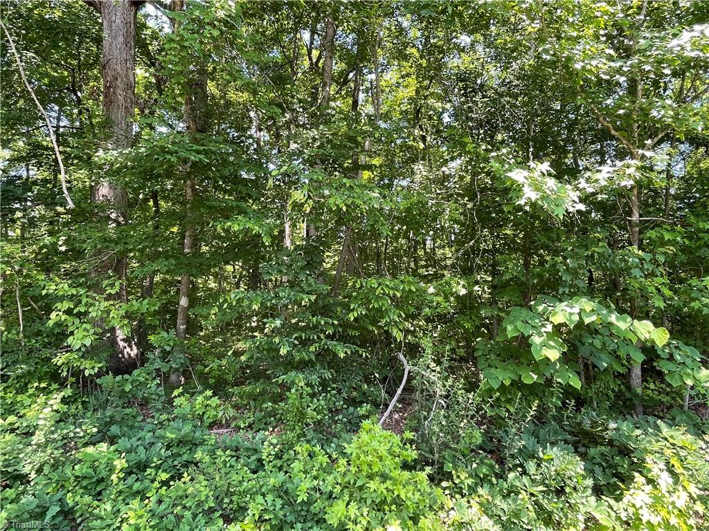 0000-1 Shady Lane Property Photo 1