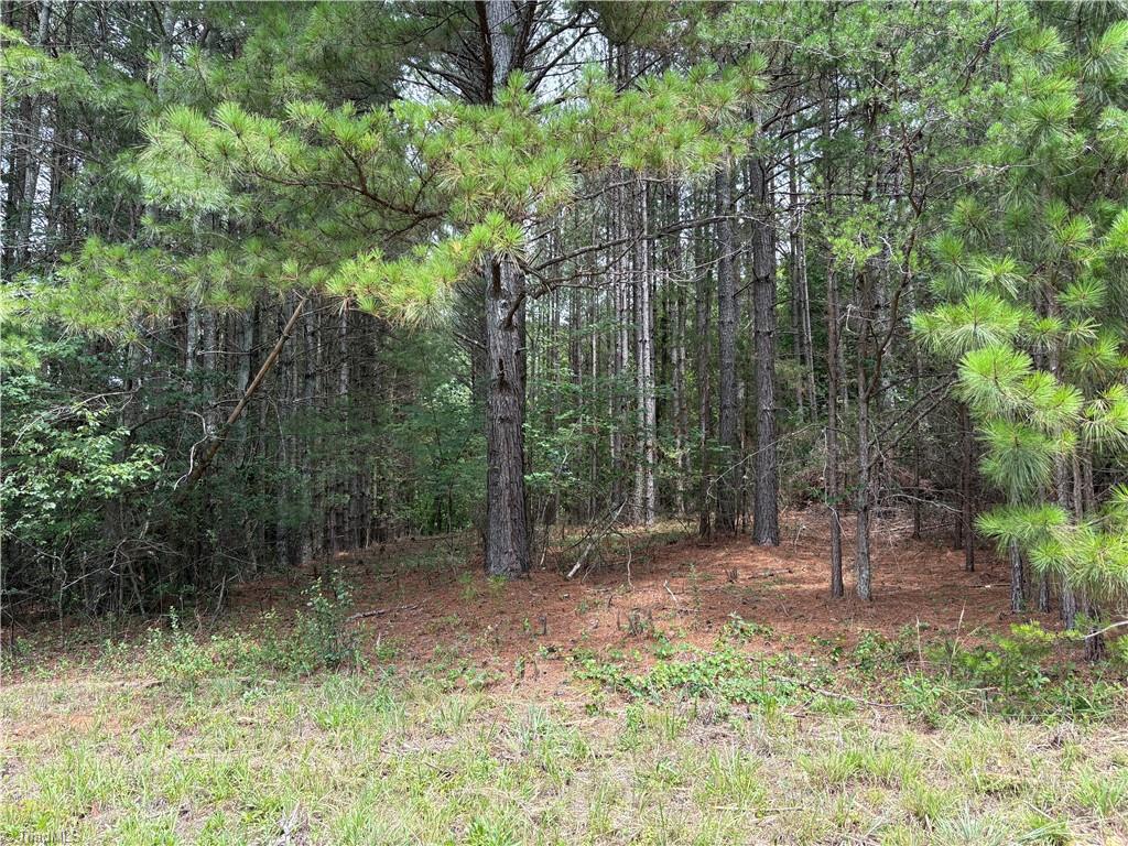 207 Cockerham Road Property Photo 2
