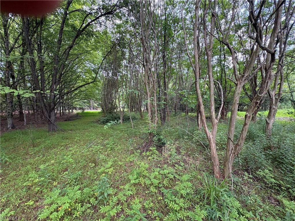207 Cockerham Road Property Photo 4