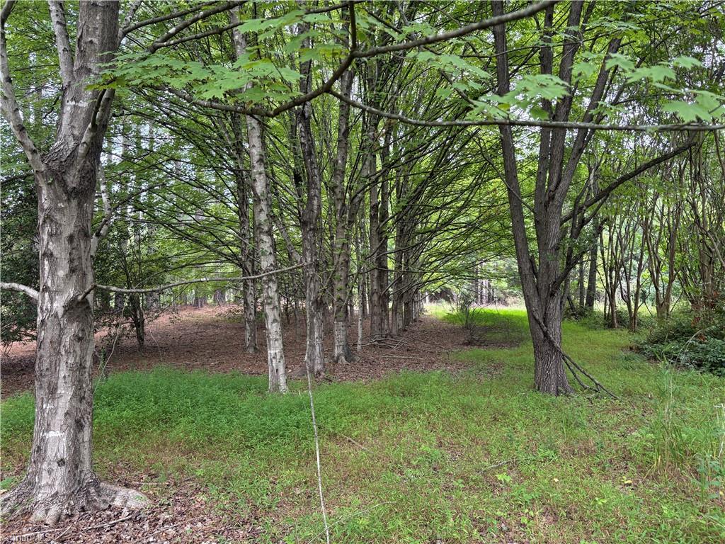 207 Cockerham Road Property Photo 5