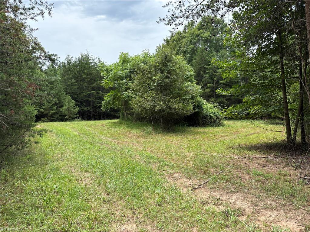 207 Cockerham Road Property Photo 7