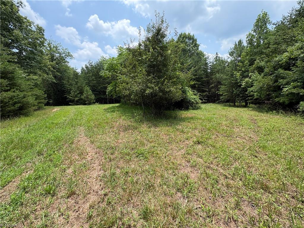 207 Cockerham Road Property Photo 13