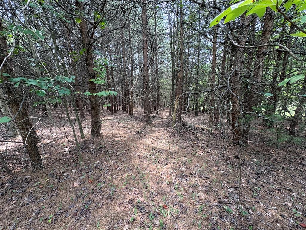 207 Cockerham Road Property Photo 14
