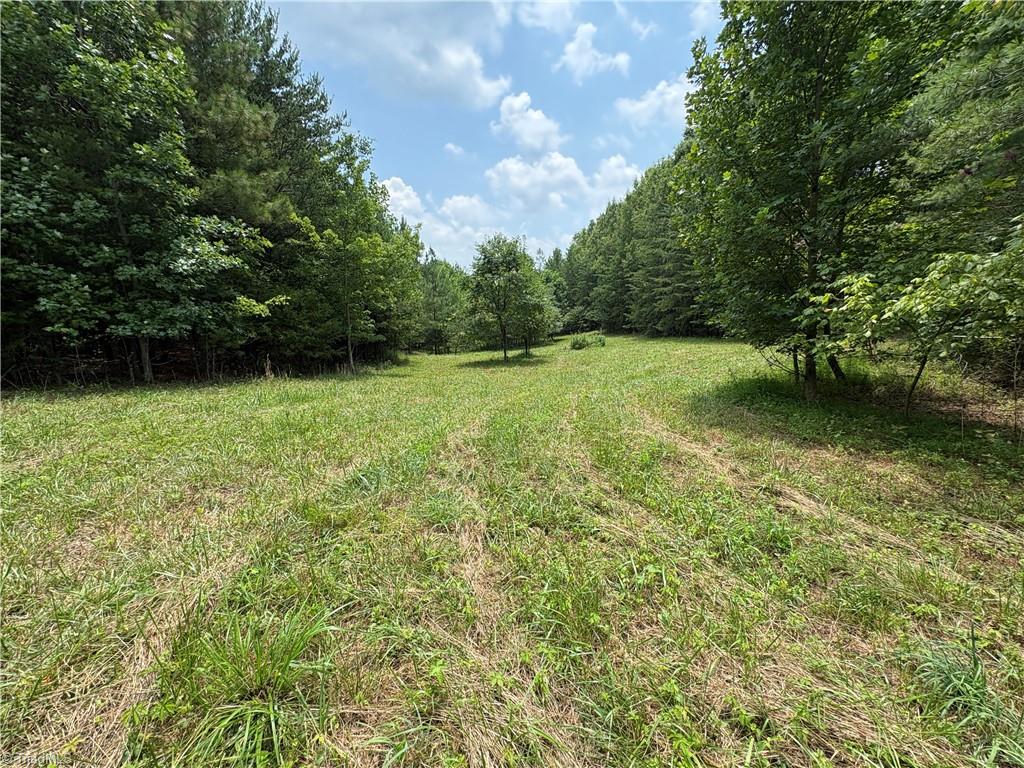 207 Cockerham Road Property Photo 15