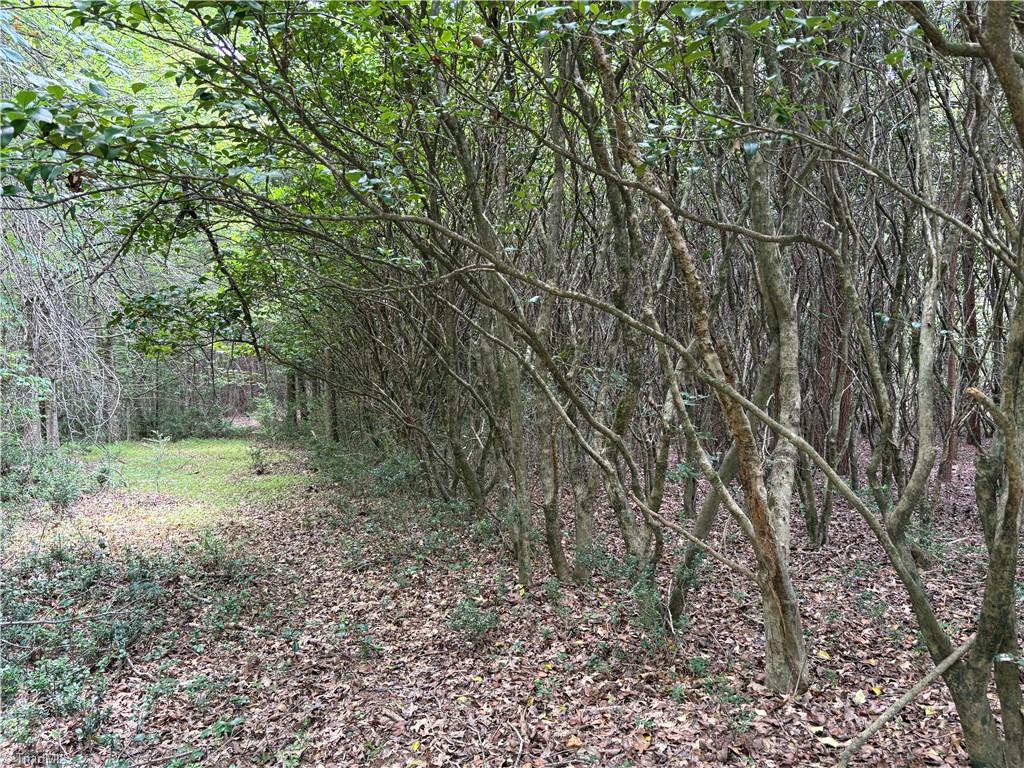 207 Cockerham Road Property Photo 16