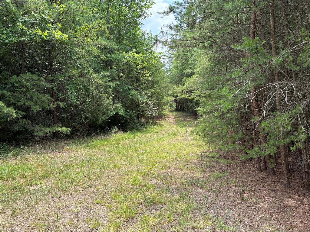 207 Cockerham Road Property Photo 17