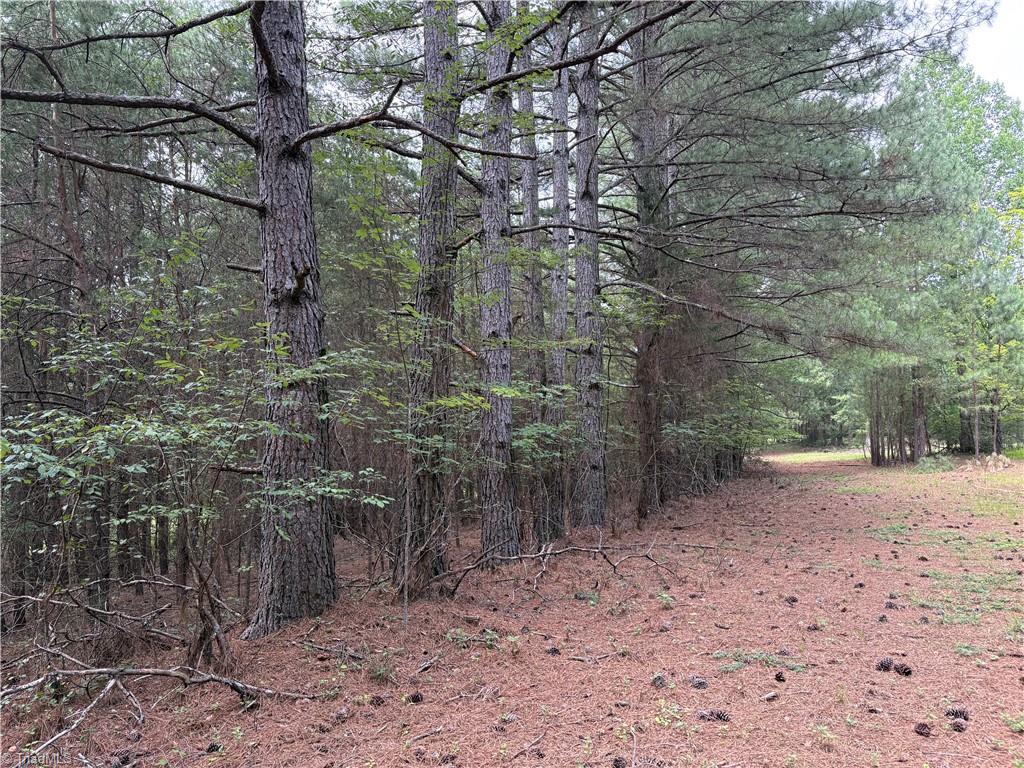 207 Cockerham Road Property Photo 33