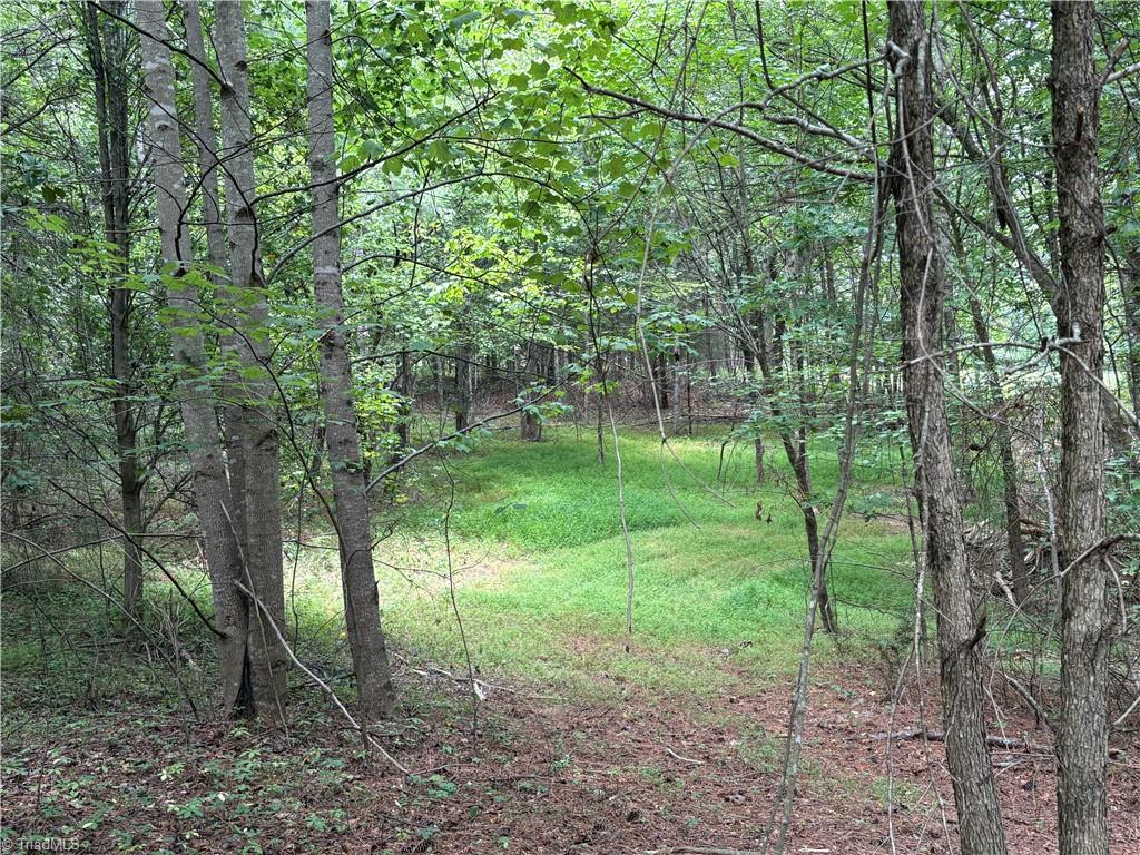207 Cockerham Road Property Photo 34