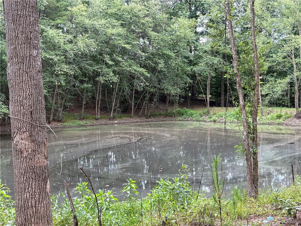 207 Cockerham Road Property Photo 36