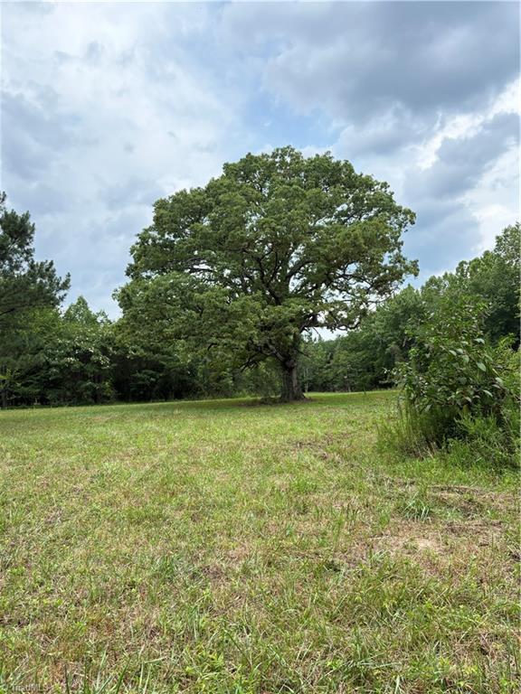 207 Cockerham Road Property Photo 40