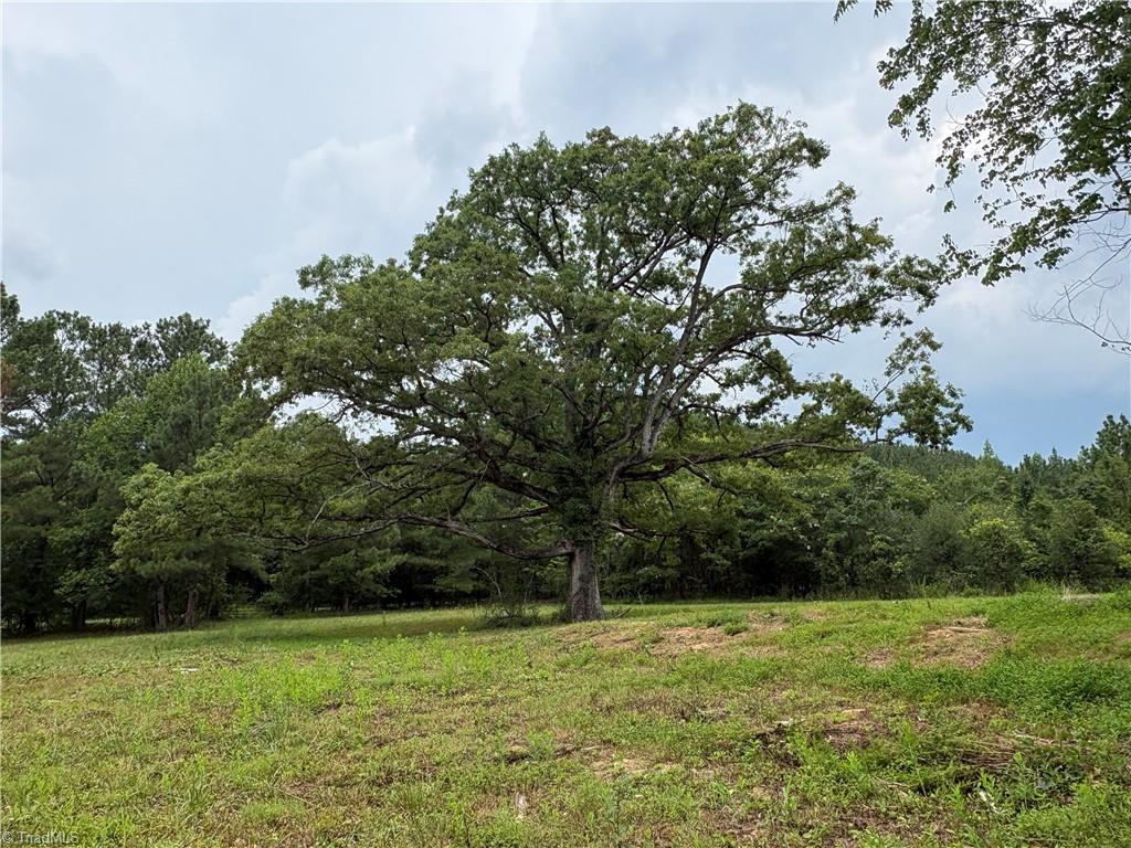 207 Cockerham Road Property Photo 41