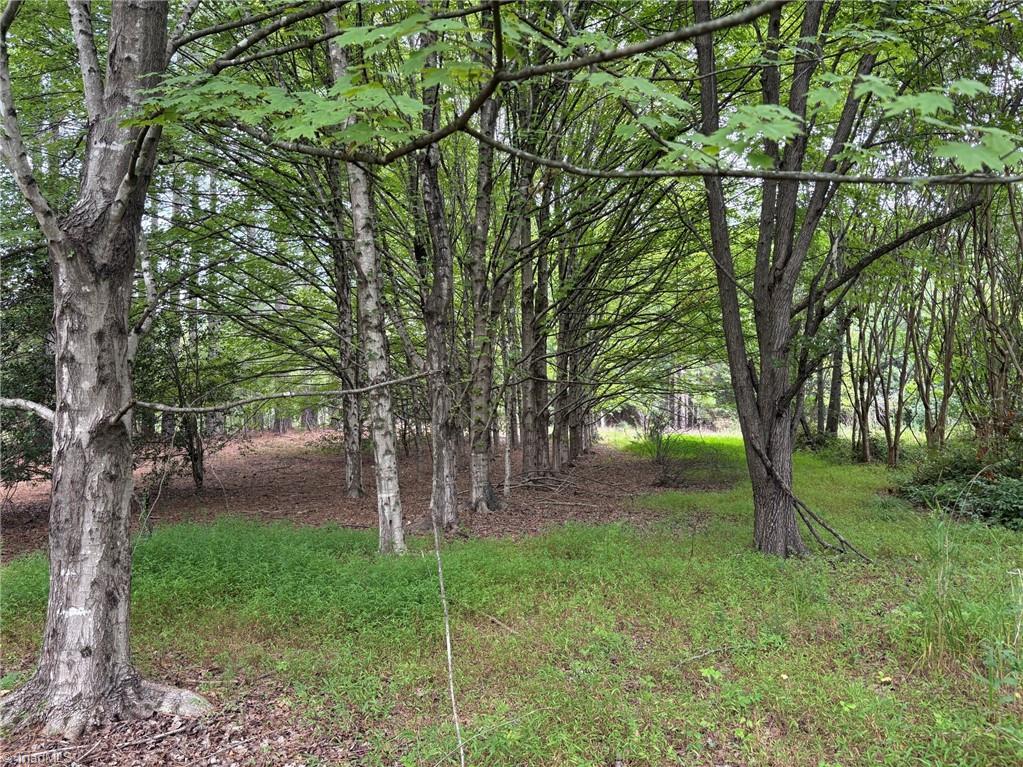 207 Cockerham Road Property Photo 42