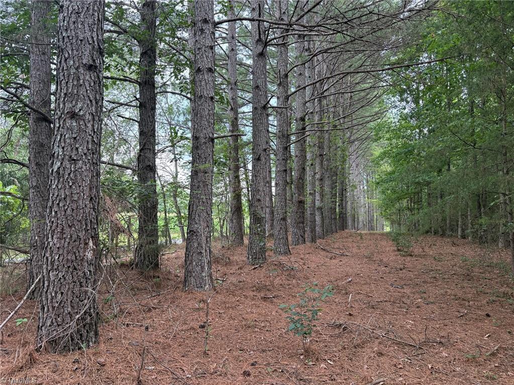 207 Cockerham Road Property Photo 43