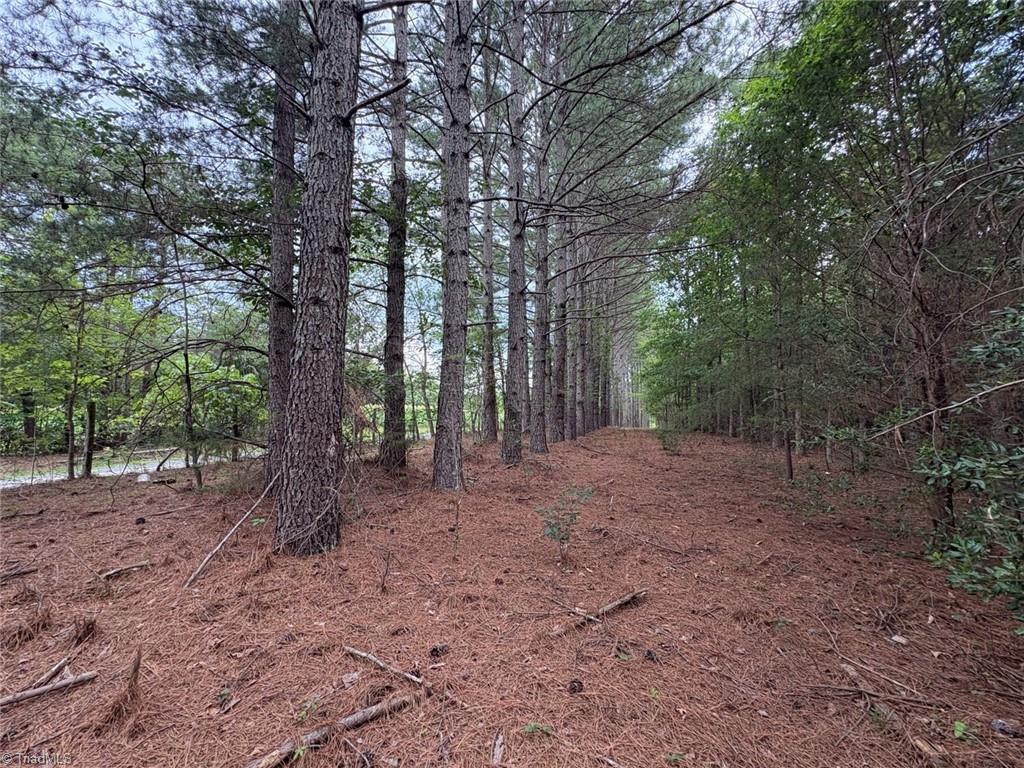 207 Cockerham Road Property Photo 44