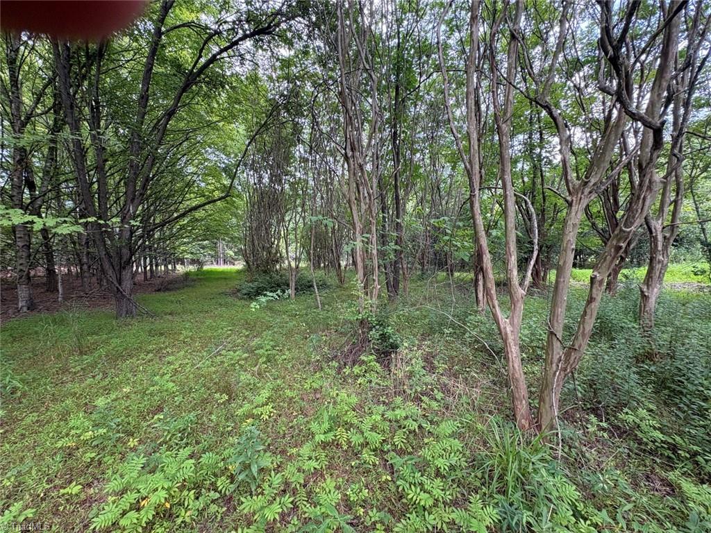 207 Cockerham Road Property Photo 45