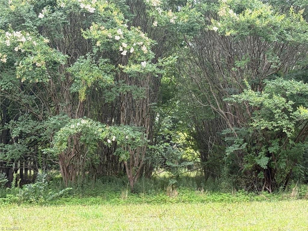 207 Cockerham Road Property Photo 46