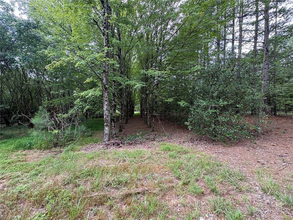 207 Cockerham Road Property Photo 47