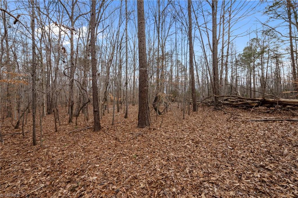 10.75 Acres Neals Store Road Property Photo 6