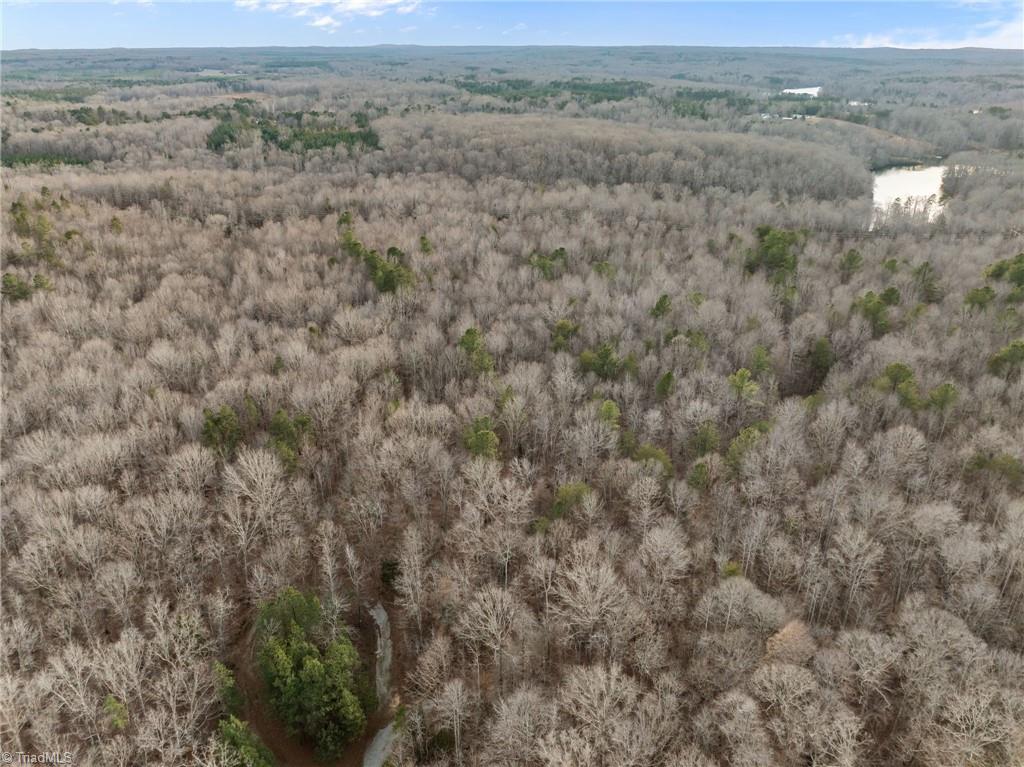 10.75 Acres Neals Store Road Property Photo 15