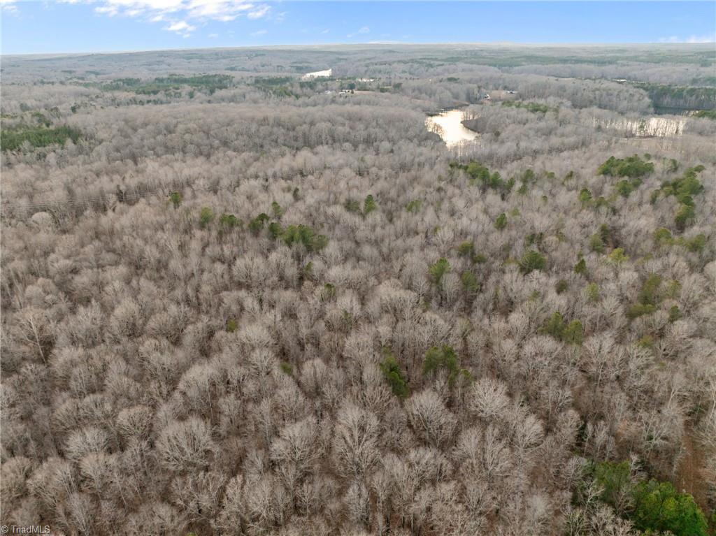 10.75 Acres Neals Store Road Property Photo 17