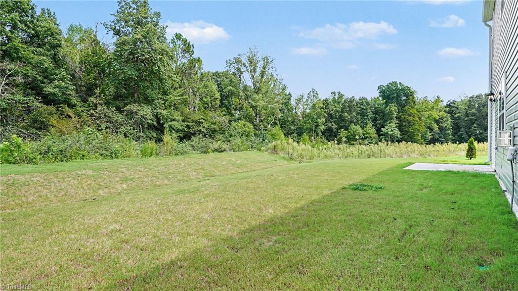 6585 Clark Creek Trail Property Photo 29
