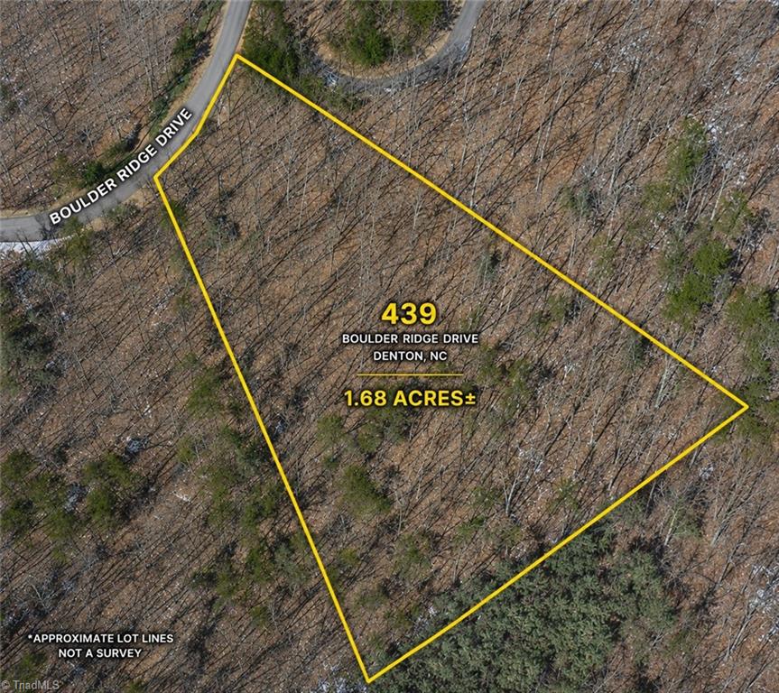 439 Boulder Ridge Drive Property Photo 1