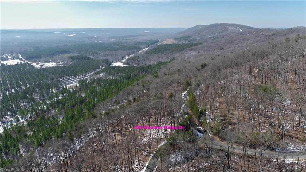 439 Boulder Ridge Drive Property Photo 11