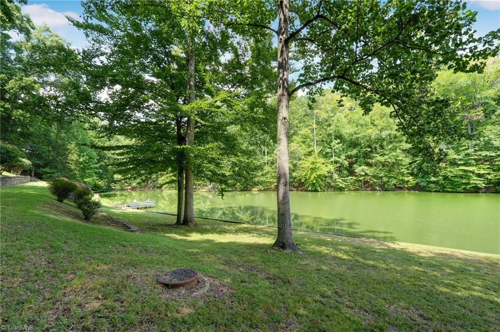 165 Beech Tree Court Property Photo 46